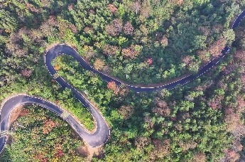 江西湖口县：深秋“醉”美乡村路