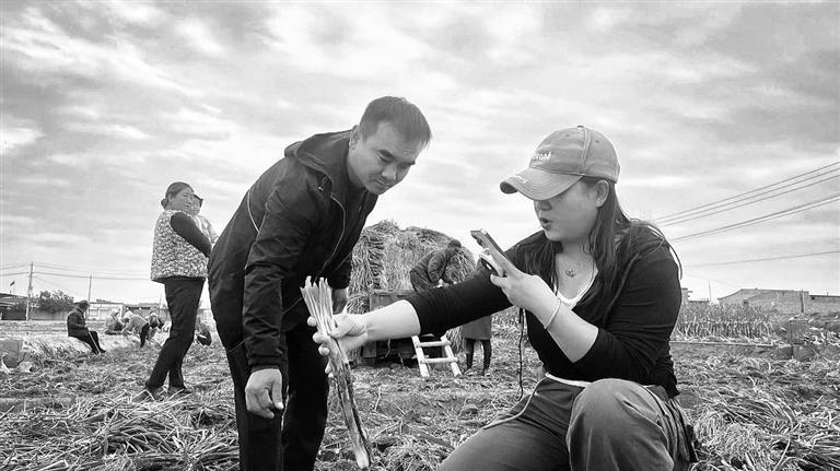 李晓燕在直播销售靖远红葱