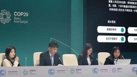 “带豹回家”:中国少年在COP29讲述生态守护梦_凤凰网