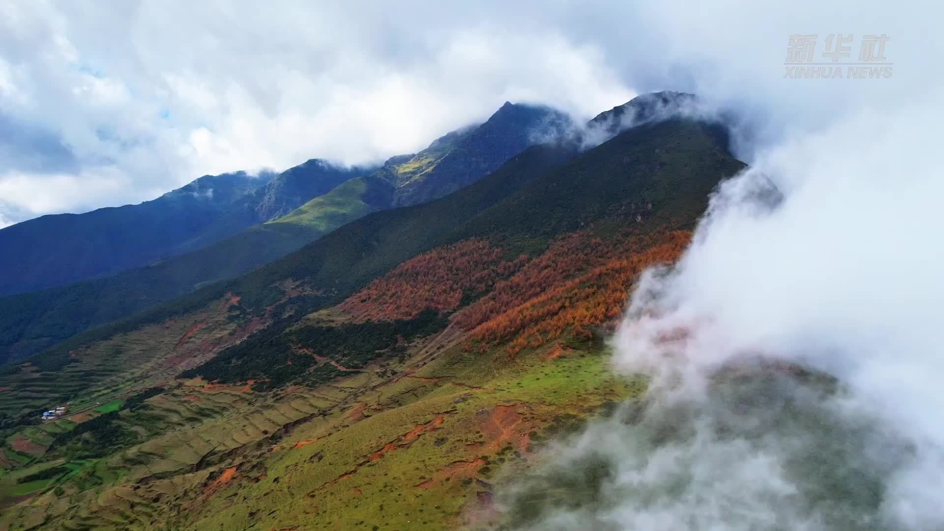 云南巧家：初冬药山美不胜收