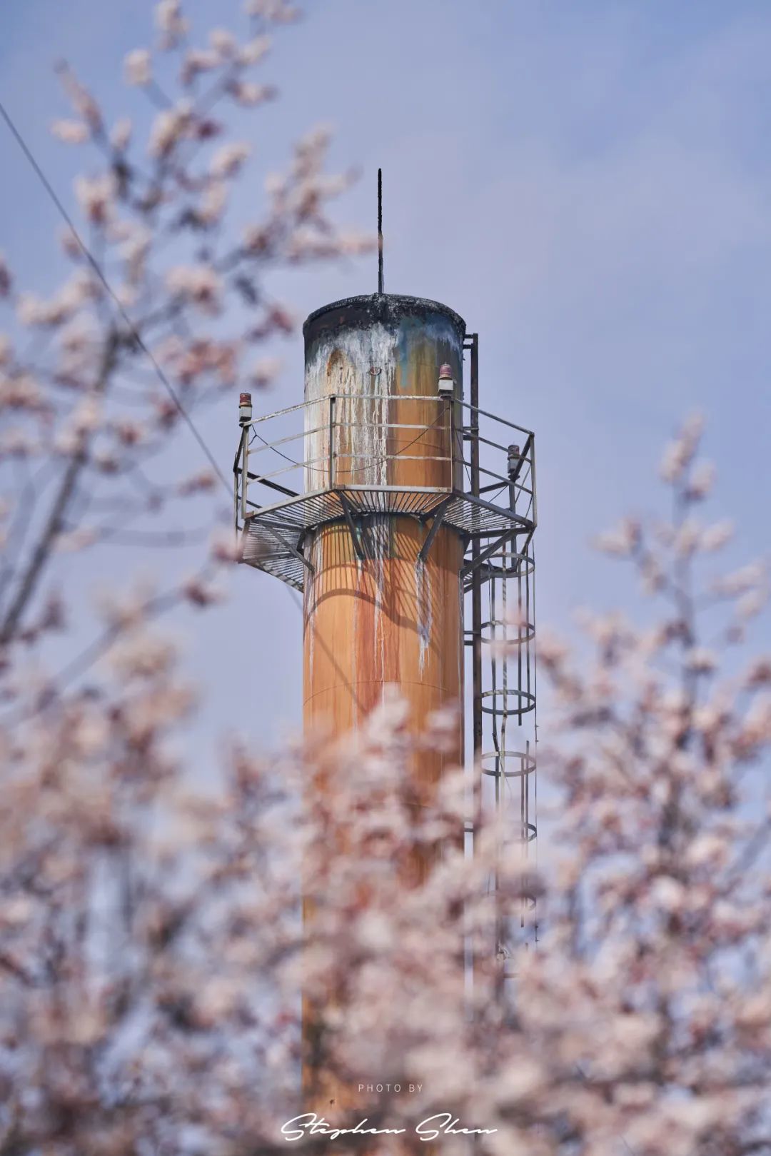 兰大的锅炉房与鲜花