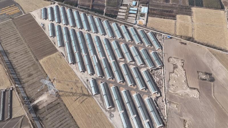 党建引领　永昌奏响集体经济发展合奏曲