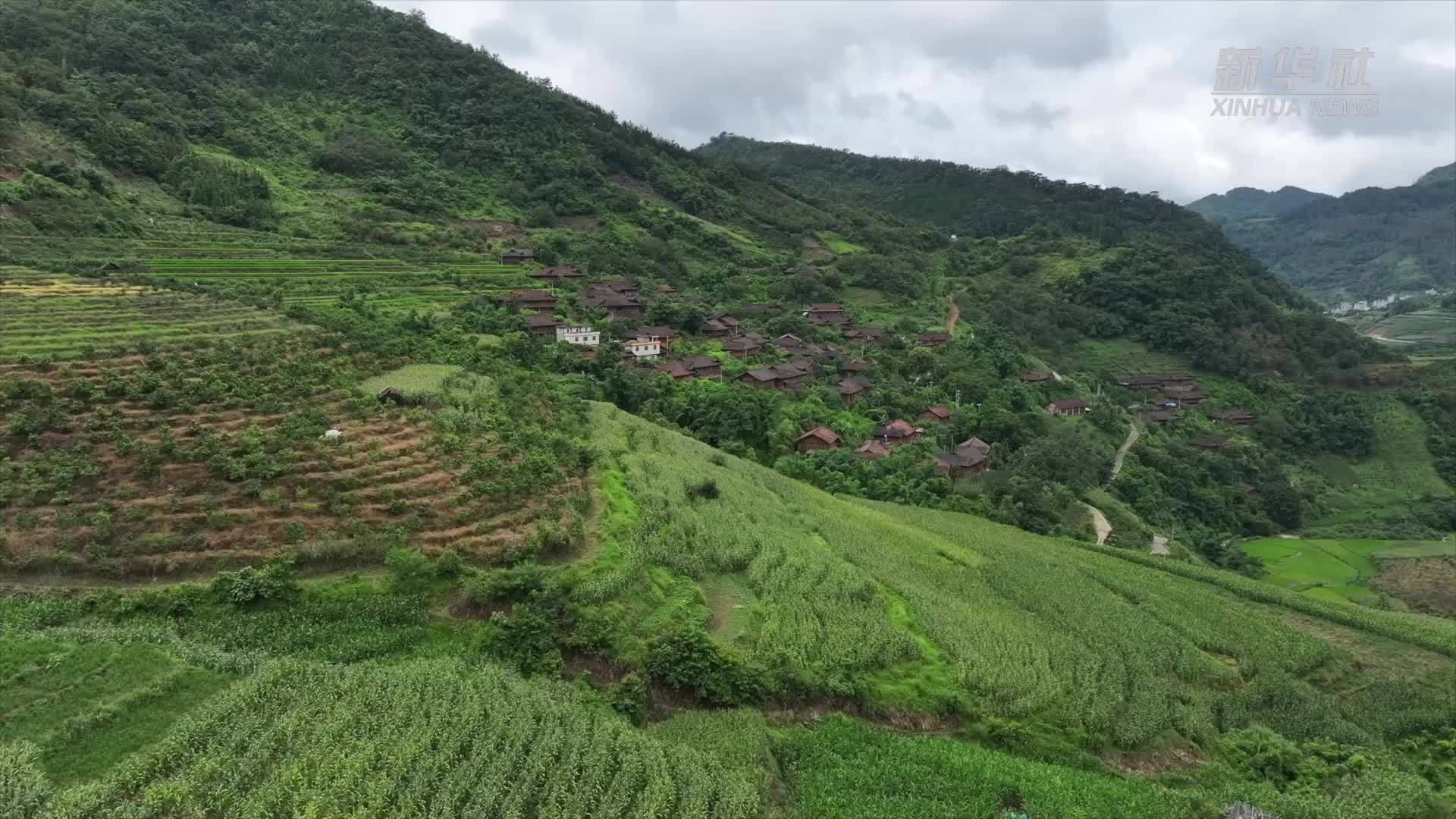 纤手绣出传承路