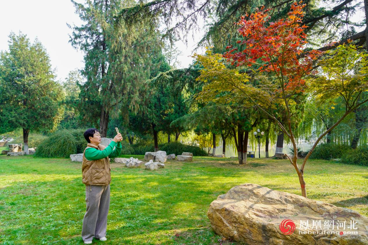 长安公园内市民记录风景 蔡柠摄