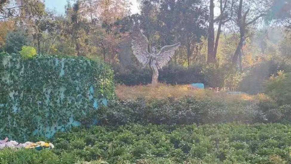 李玟墓地近况曝光 现场杂草丛生凌乱不堪封面图