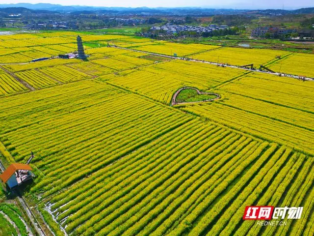 ▲美丽富饶的三湘沃野。