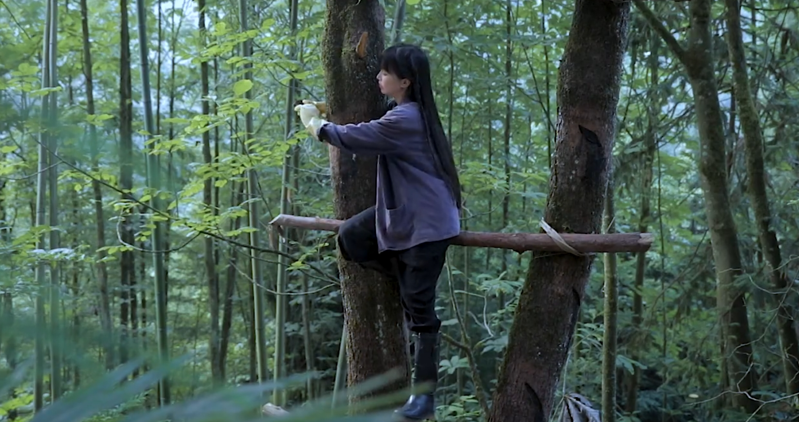 李子柒复更视频：麒麟回首，万事不愁