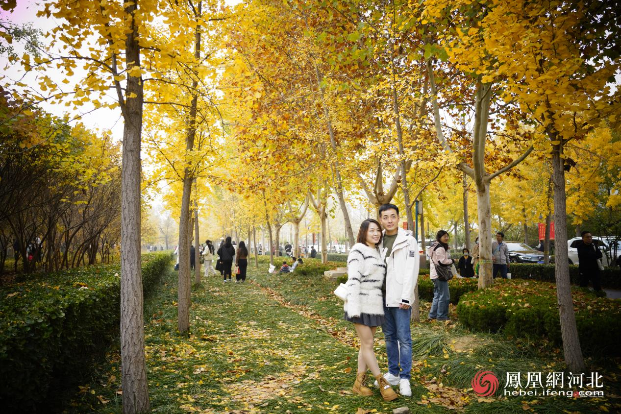 河北经贸大学银杏节现场 蔡柠摄
