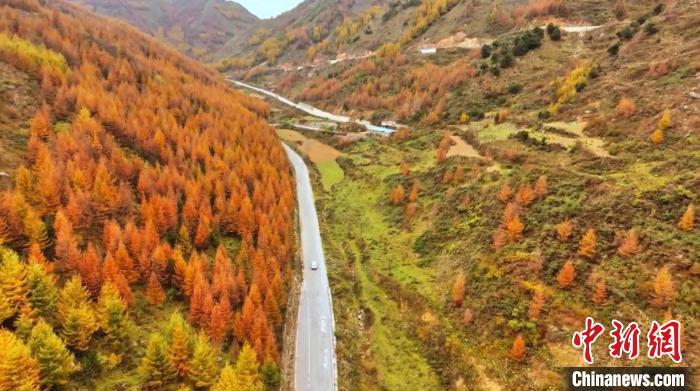 初冬时节，甘肃省陇南市武都区公路旁仍然一派秋日景象，黄红绿相间的公路甚是好看，公路在暖阳的拥抱下，缓缓铺展向远方。成涛涛　摄