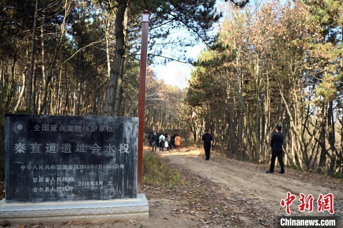 图为地处合水县子午岭腹地世界上最早的“高速公路”秦直道。中新社记者　九美旦增　摄