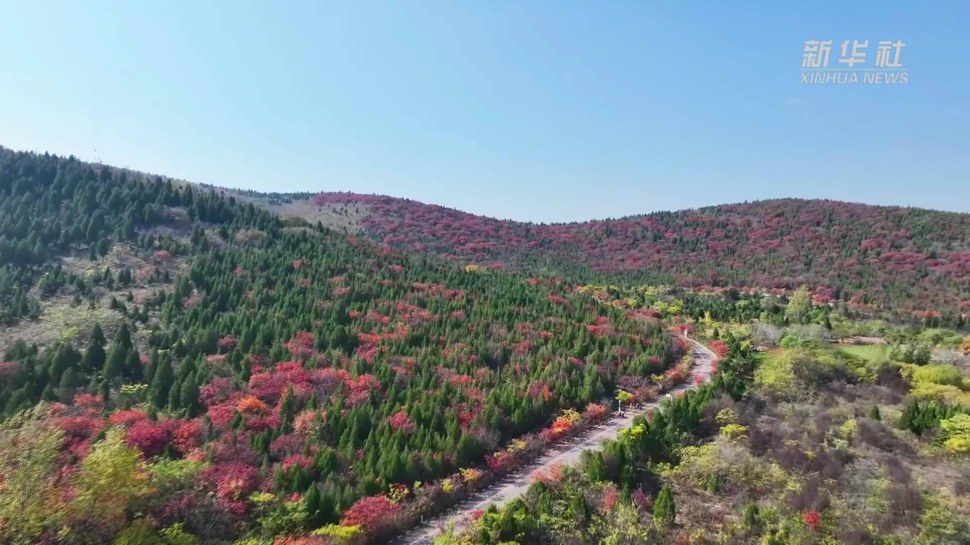 四季旅行｜山东枣庄：多彩初冬 如诗如画