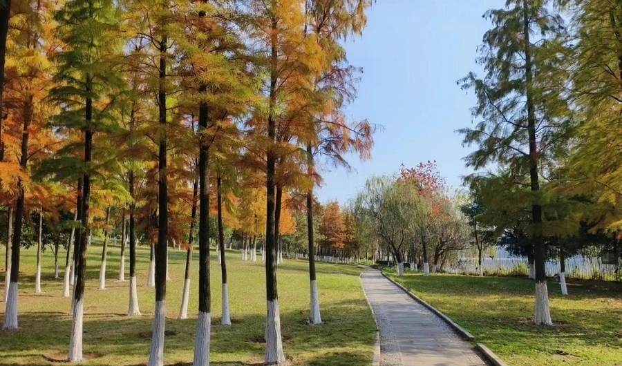 赣州章贡区：公园微改造 提升舒适度