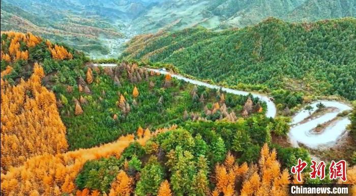 初冬时节，甘肃省陇南市武都区公路旁仍然一派秋日景象，黄红绿相间的公路甚是好看，公路在暖阳的拥抱下，缓缓铺展向远方。图为陇南初冬上演“秋色”颂。吴碧霞　摄