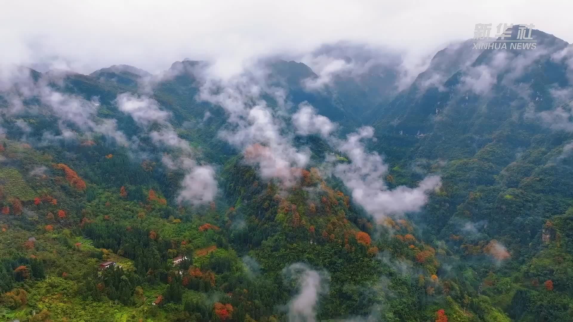 四季旅行·光影云南｜初冬黄连河：生态绘就五彩画卷