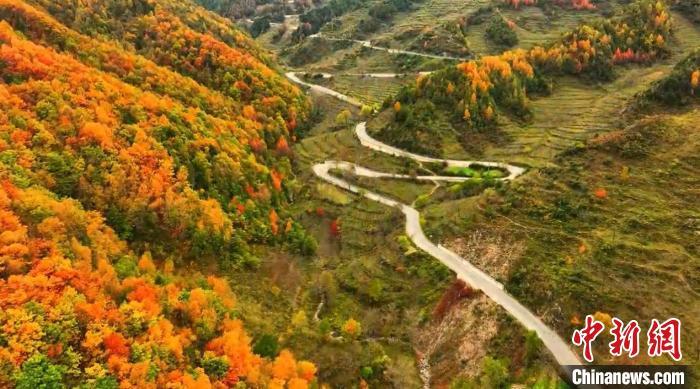初冬时节，甘肃省陇南市武都区公路旁仍然一派秋日景象，黄红绿相间的公路甚是好看，公路在暖阳的拥抱下，缓缓铺展向远方。图为蜿蜒公路两旁五彩缤纷的景色。龙金铃　摄