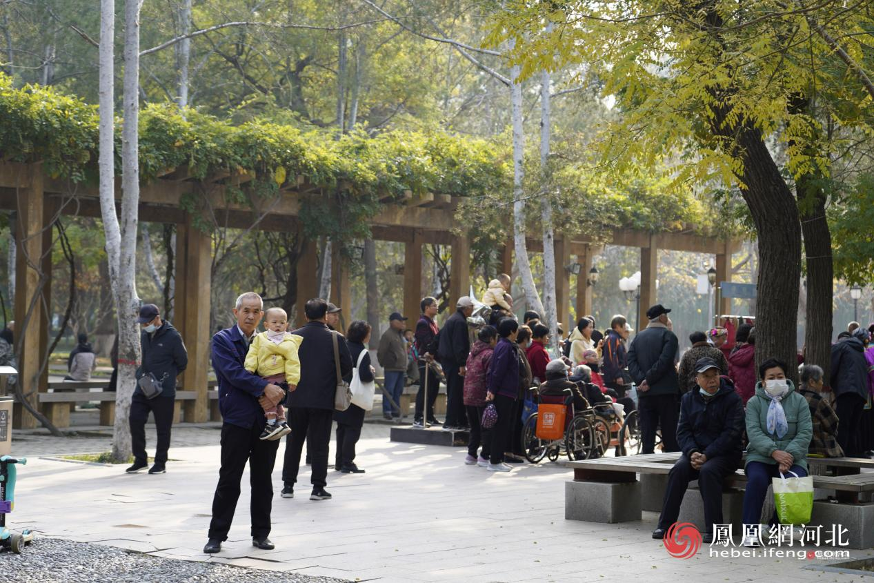 长安公园内市民悠闲散步场景 蔡柠摄
