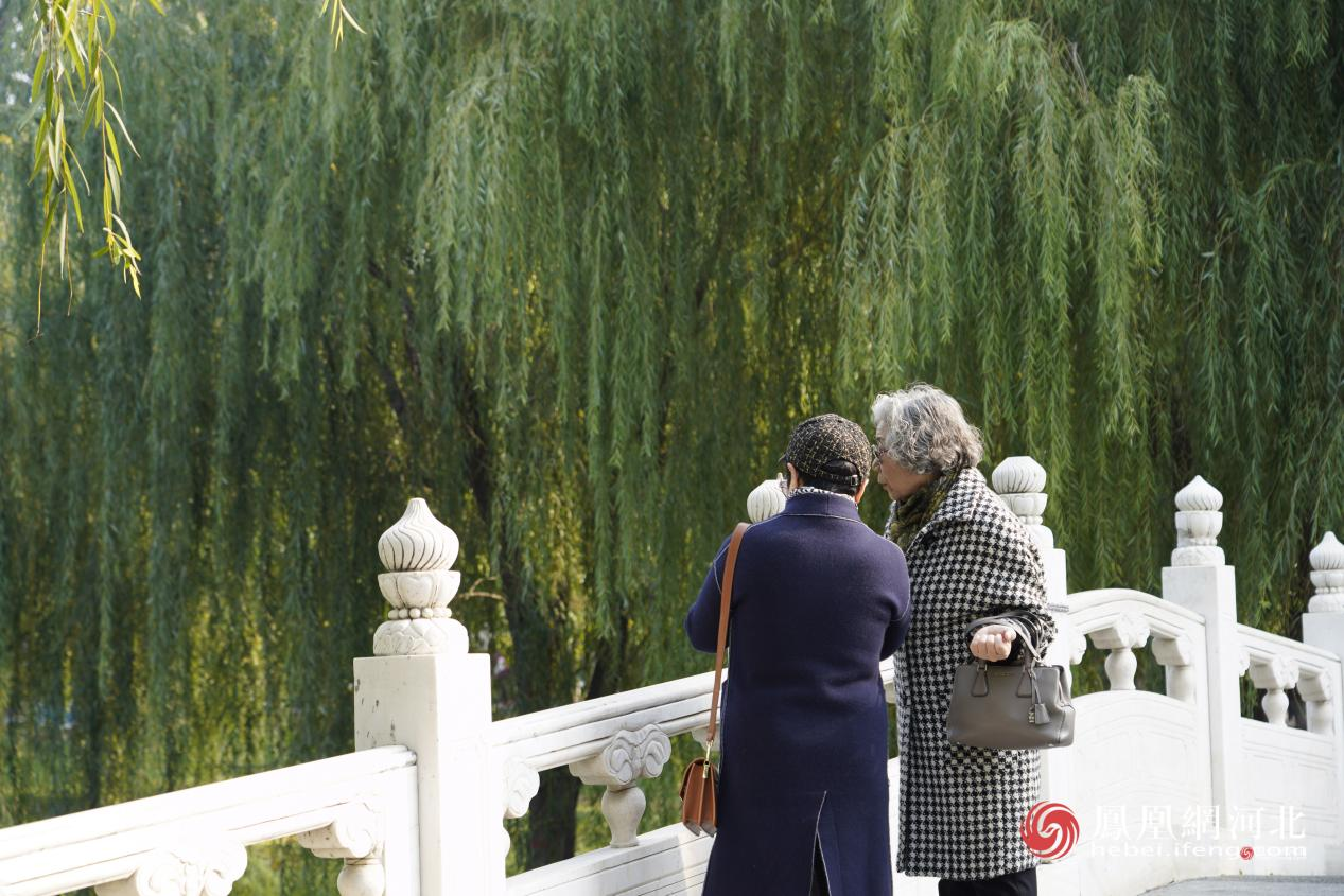 长安公园内市民记录风景 蔡柠摄