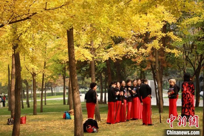 图为游客在公园内打卡拍照。 张一辰 摄