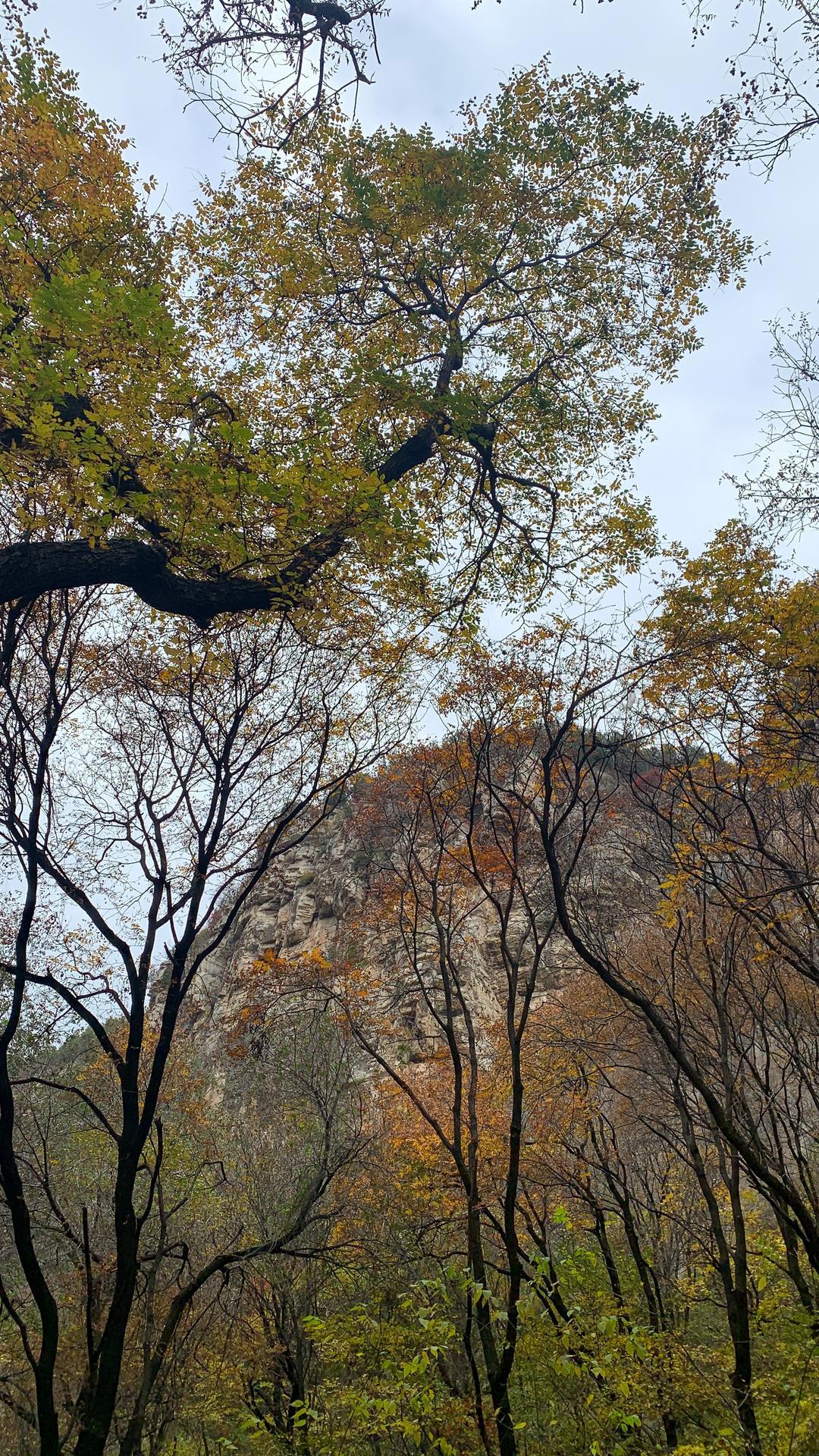 济南藏龙涧：峡谷深涧鬼斧神工 危崖生树景色奇崛