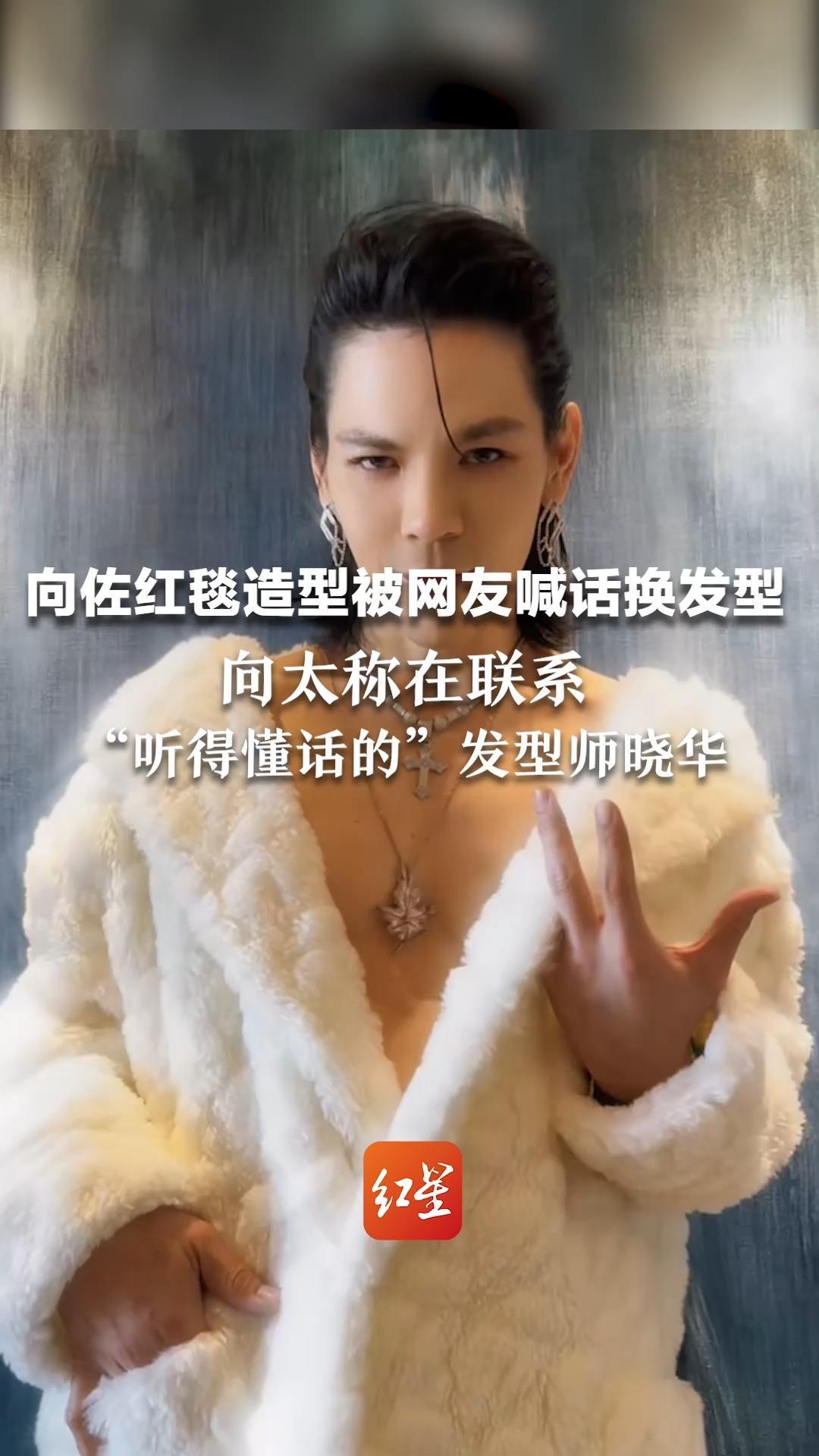 向佐红毯造型被网友喊话换发型 向太称在联系“听得懂话的”发型师晓华