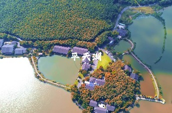 落叶纷飞 秋意正浓！带你走进池州的绝美秋天