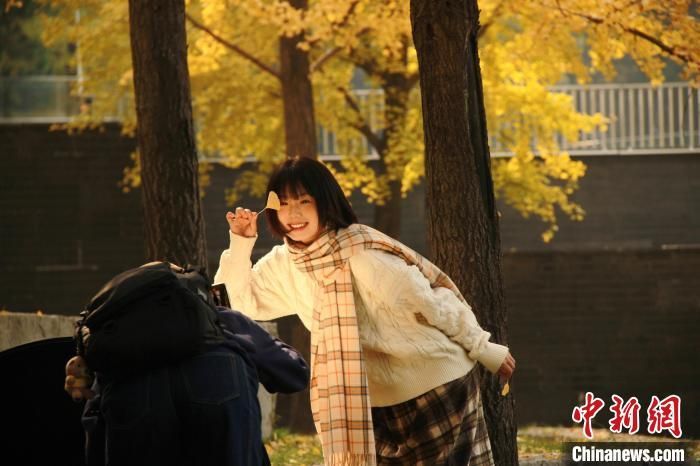 7日，正值二十四节气——立冬，位于西安南郊的秦二世陵遗址公园内，大片银杏树令此间的色彩绚丽起来。在阳光照耀下，银杏叶随风飘落，吸引当地民众前来打卡拍照。图为游客在公园内打卡拍照。 张一辰 摄