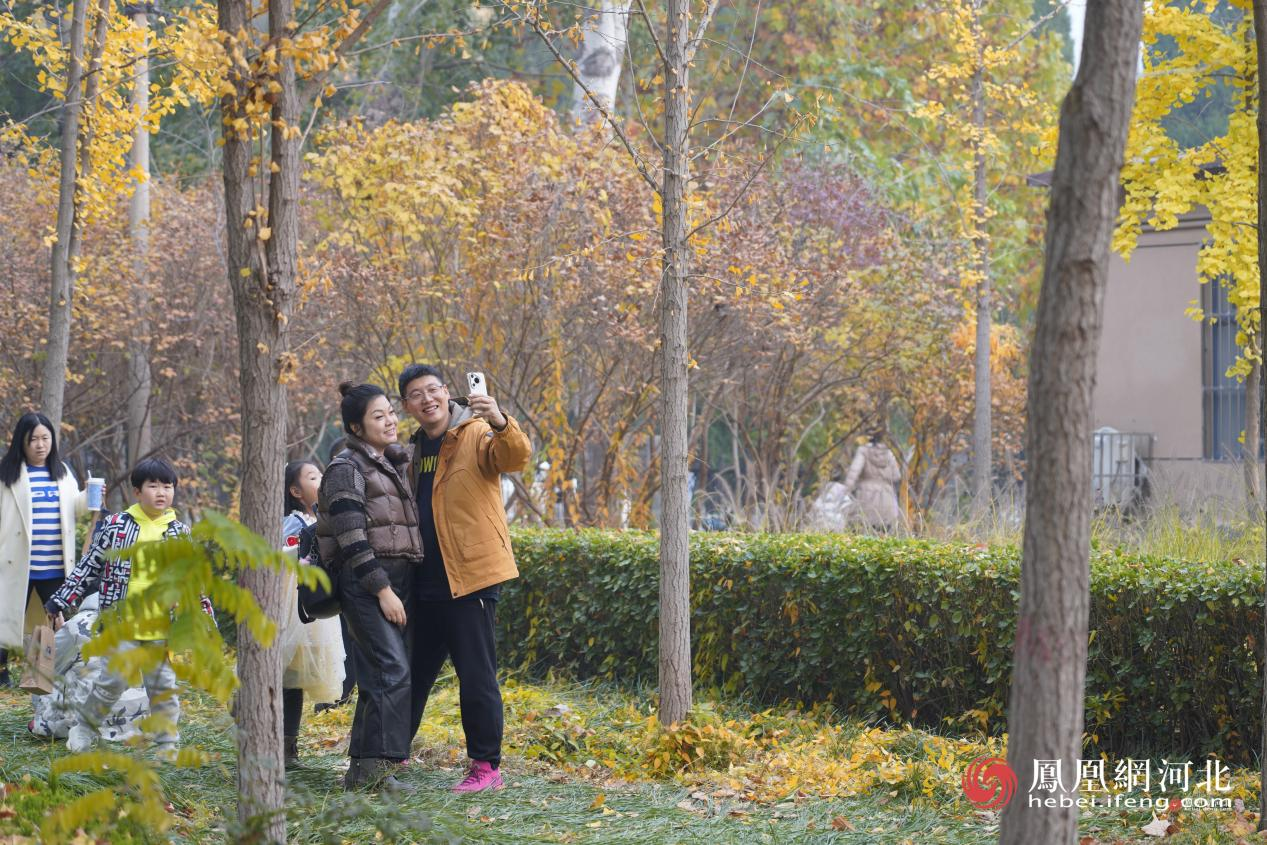 河北经贸大学银杏节现场 蔡柠摄