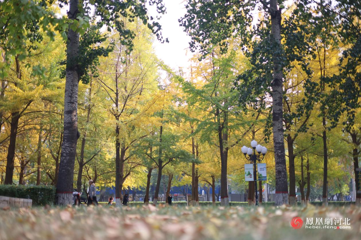 长安公园内风景 蔡柠摄