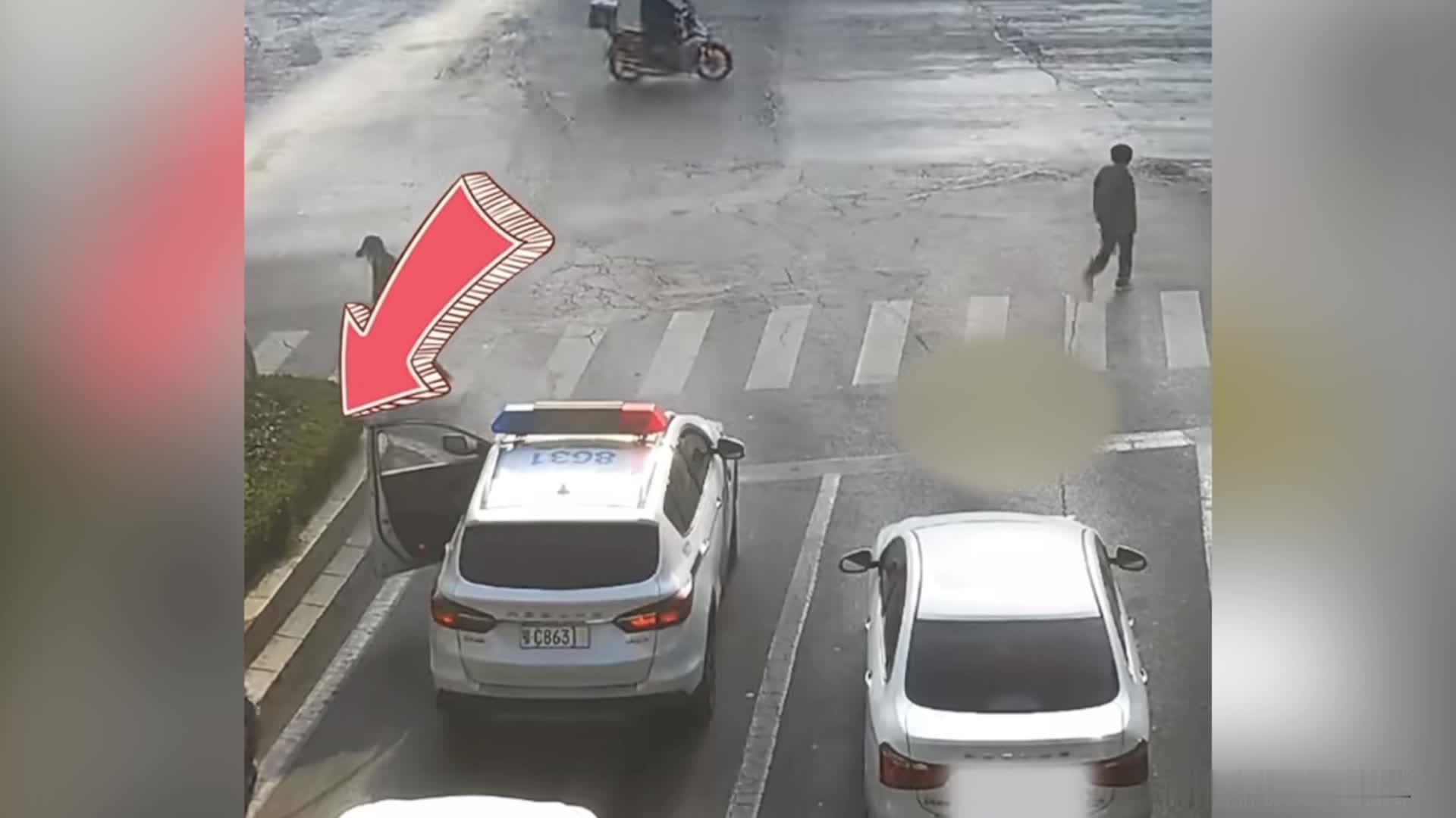 男子突发心梗求助交警后昏迷，警方开道不到3分钟送医