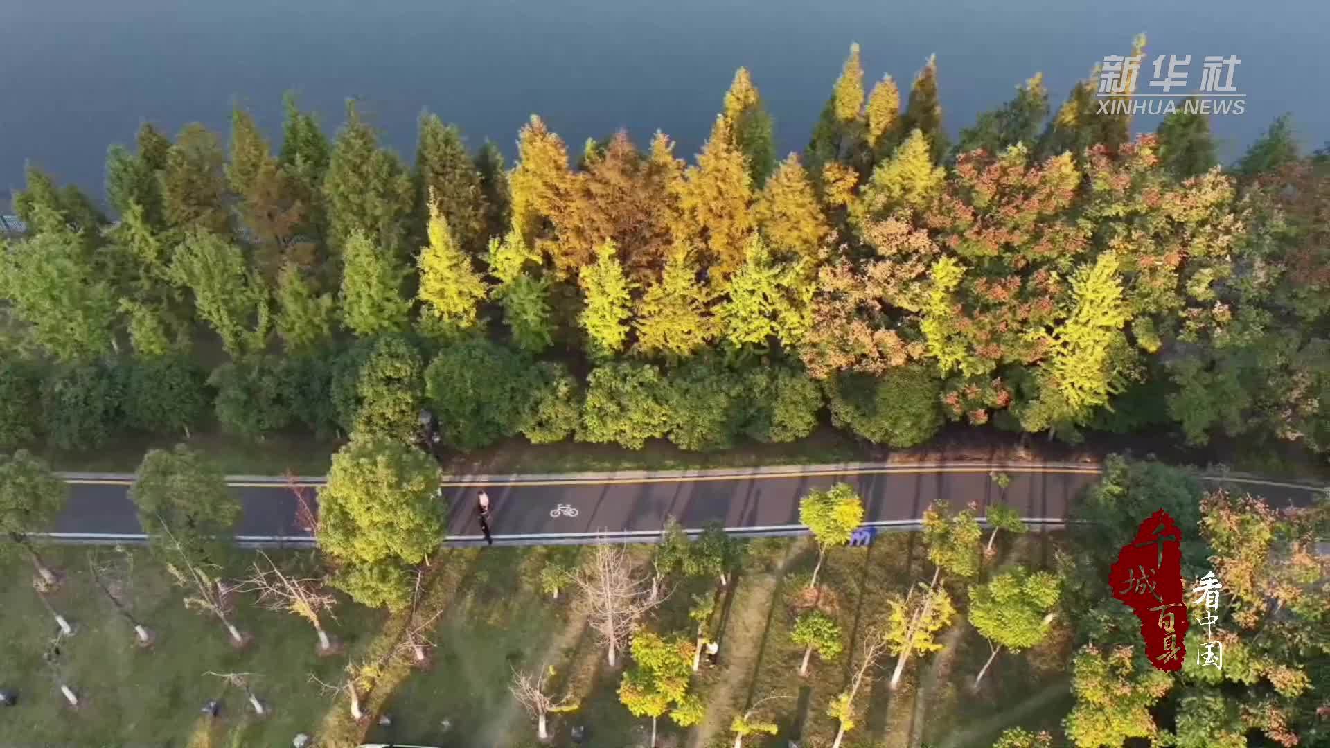 千城百县看中国｜湖南冷水滩：叶黄湘畔染初冬