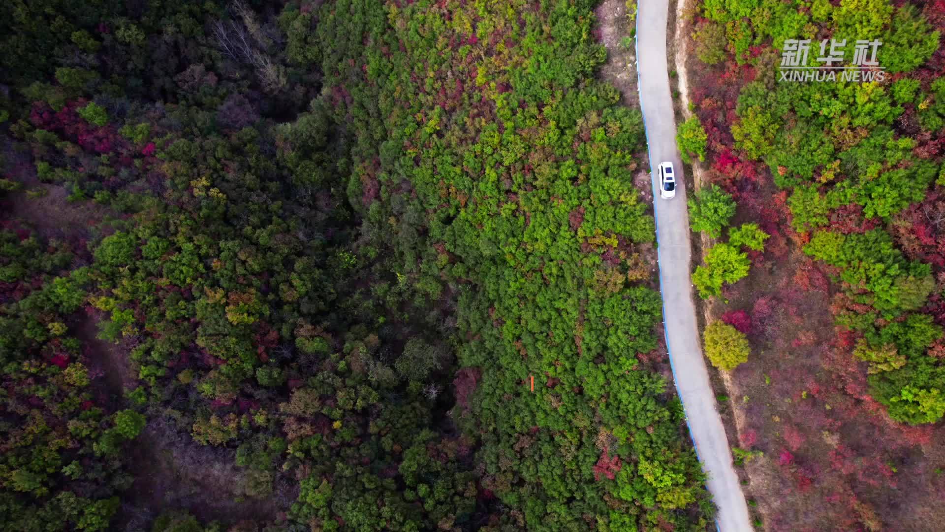 四季旅行｜河南汝州：山林“披彩衣”景色美如画
