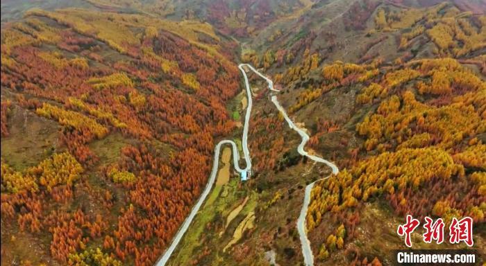 初冬时节，甘肃省陇南市武都区公路旁仍然一派秋日景象，黄红绿相间的公路甚是好看，公路在暖阳的拥抱下，缓缓铺展向远方。图为陇南公路大片。吴碧霞　摄