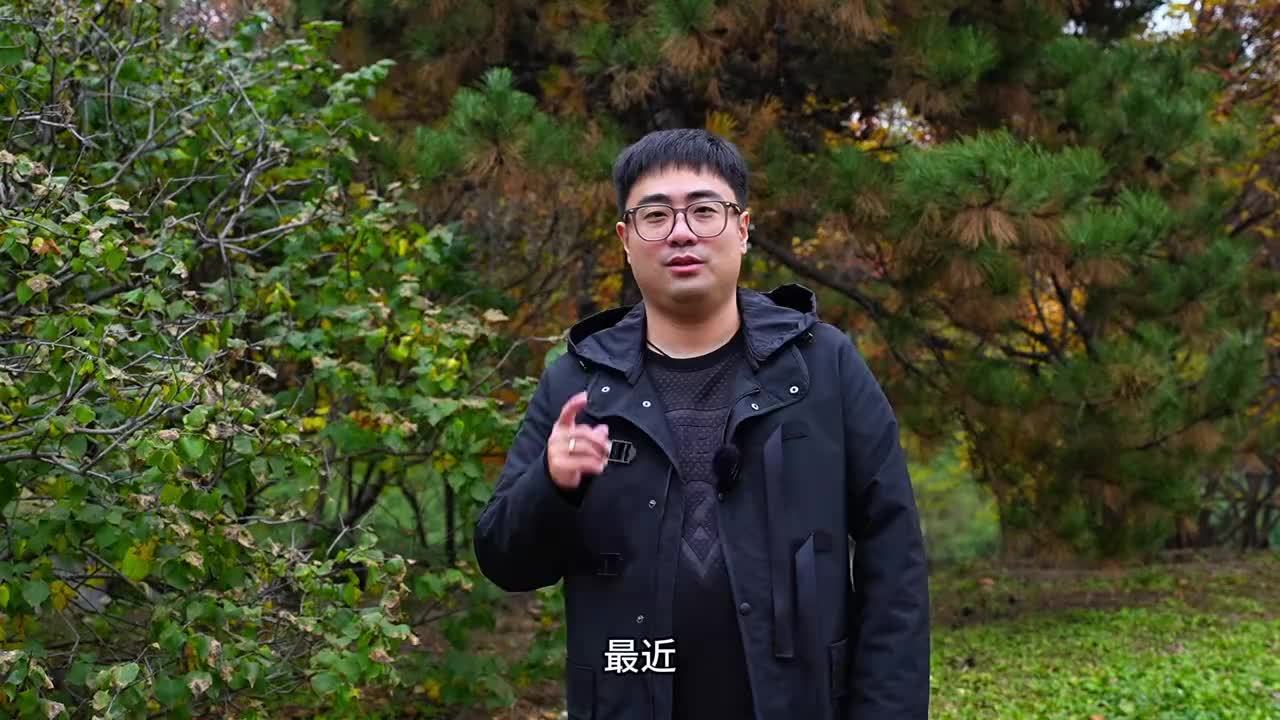 开着皓影一路向北“捡秋”