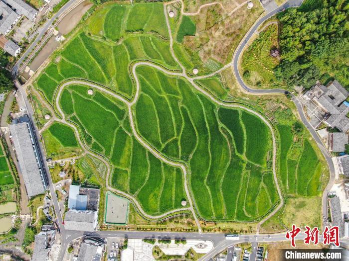 全国“美丽县城”铜鼓，美在哪里？