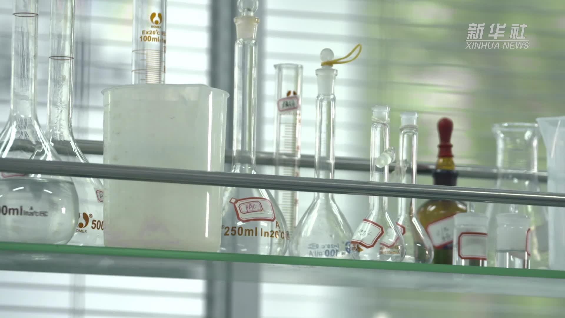 世界技能大赛冠军杨艺杰：“一步到位”的工匠之路