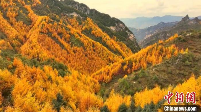 初冬时节，甘肃省陇南市武都区公路旁仍然一派秋日景象，黄红绿相间的公路甚是好看，公路在暖阳的拥抱下，缓缓铺展向远方。成涛涛　摄