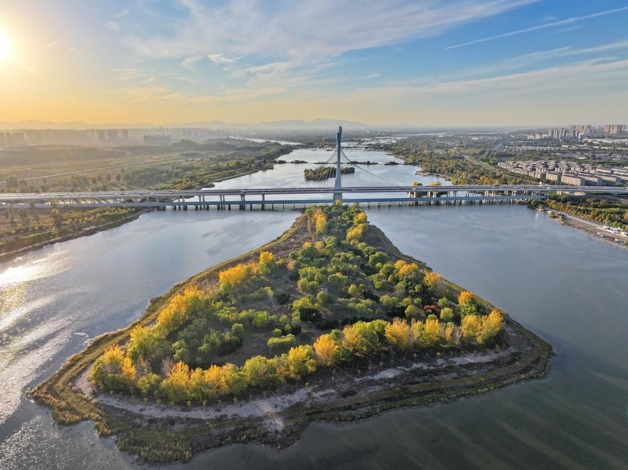 这是河北省石家庄市滹沱河（11月4日摄，无人机照片）。新华社记者 牟宇 摄