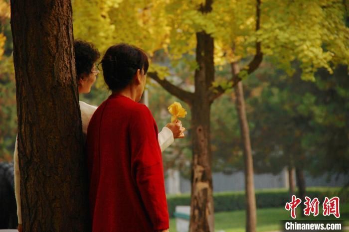 图为游客在公园内打卡拍照。 张一辰 摄