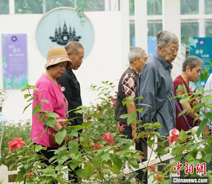 11月6日，游客走进海南省屯昌县梦幻香山共享农庄·旅游区，体验各种“新奇特”香草。陈英清 摄