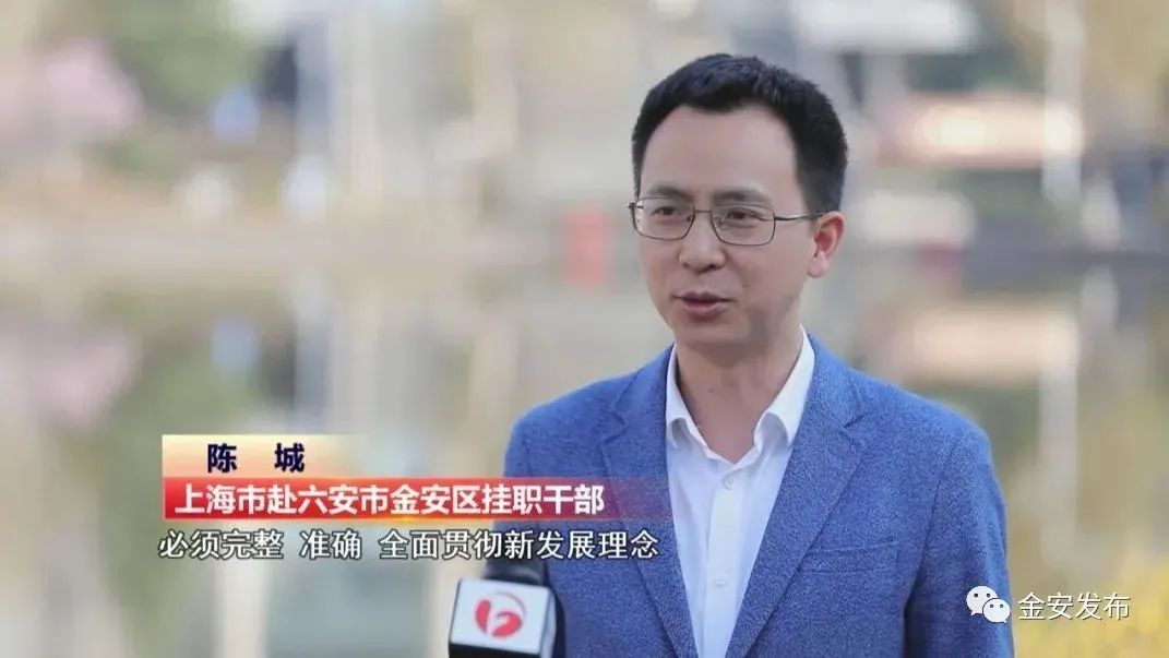 陈城(资料图 来源:金安发布)