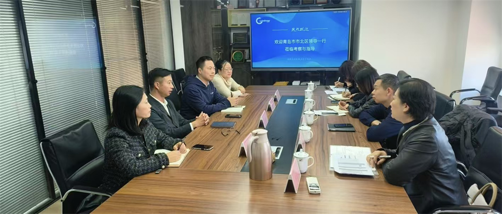 “聚监督合力，助经济发展”-市北区台东街道人大工委组织人大代表走访市北区重点企业，赋能财源建设