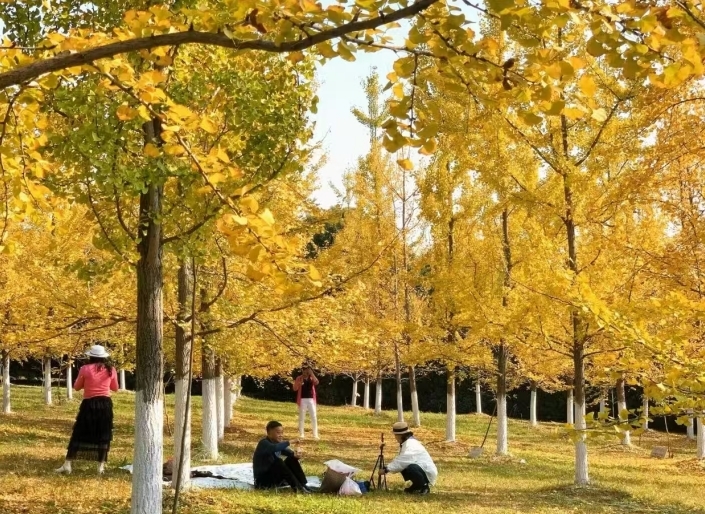 南昌县黄马乡：打造“+文化综合体” 赋能乡村旅游