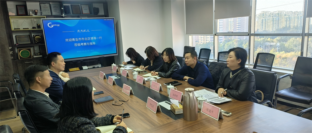 “聚监督合力，助经济发展”-市北区台东街道人大工委组织人大代表走访市北区重点企业，赋能财源建设