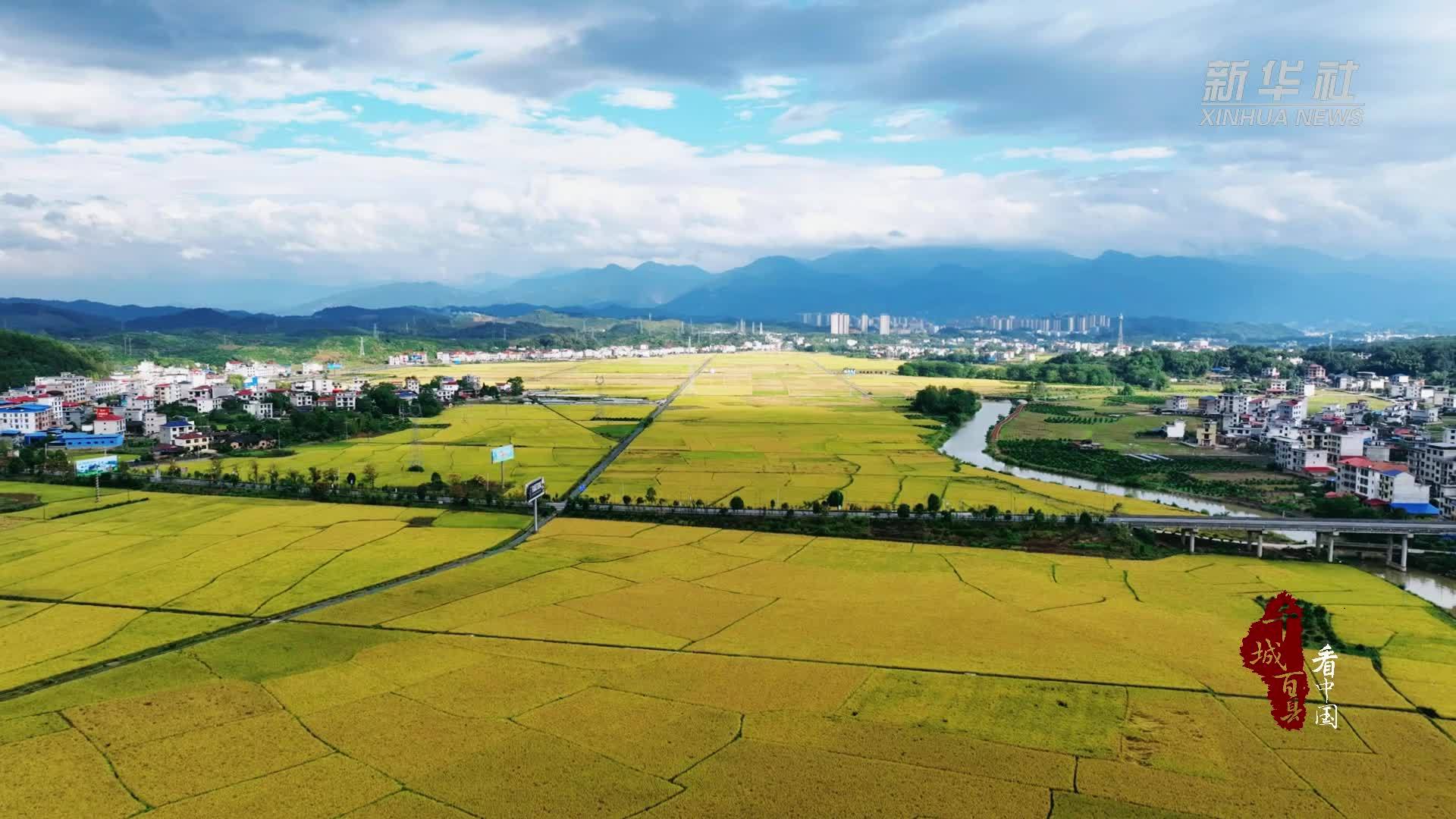 千城百县看中国｜湖南新宁：崀山稻田“丰”景如画