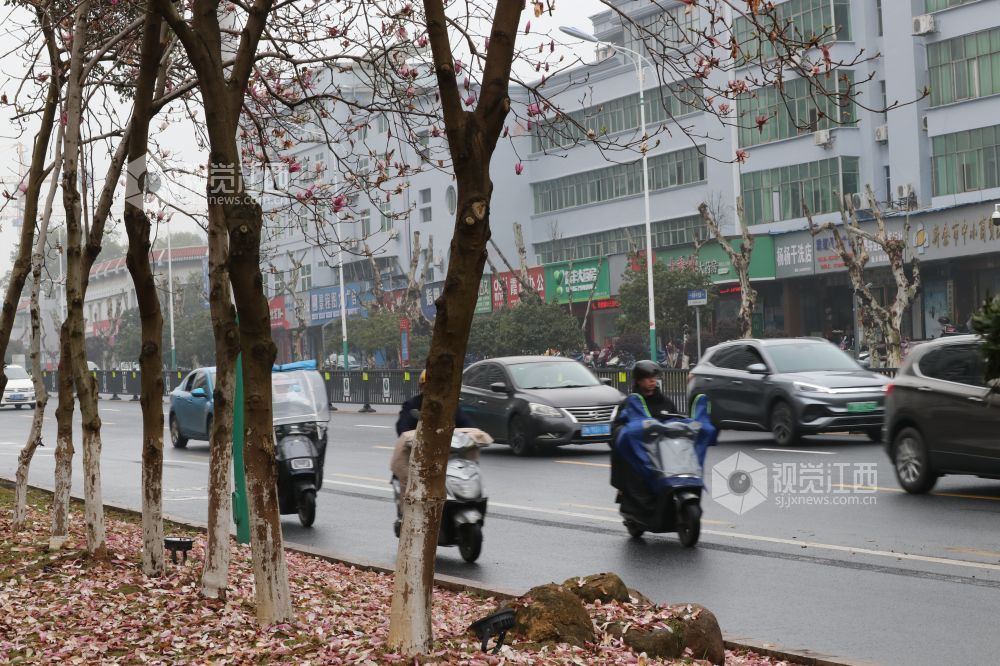 一网申报、一站集成 新余市打造全省首个“惠民通”服务专区