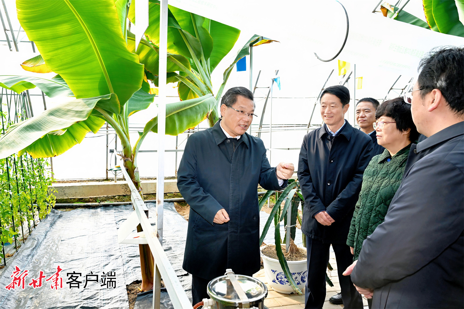 任振鹤庆阳平凉调研　强调了这些