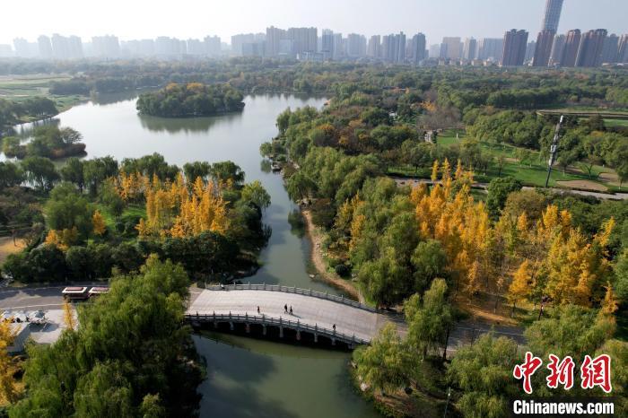 西安大明宫冬日景如画