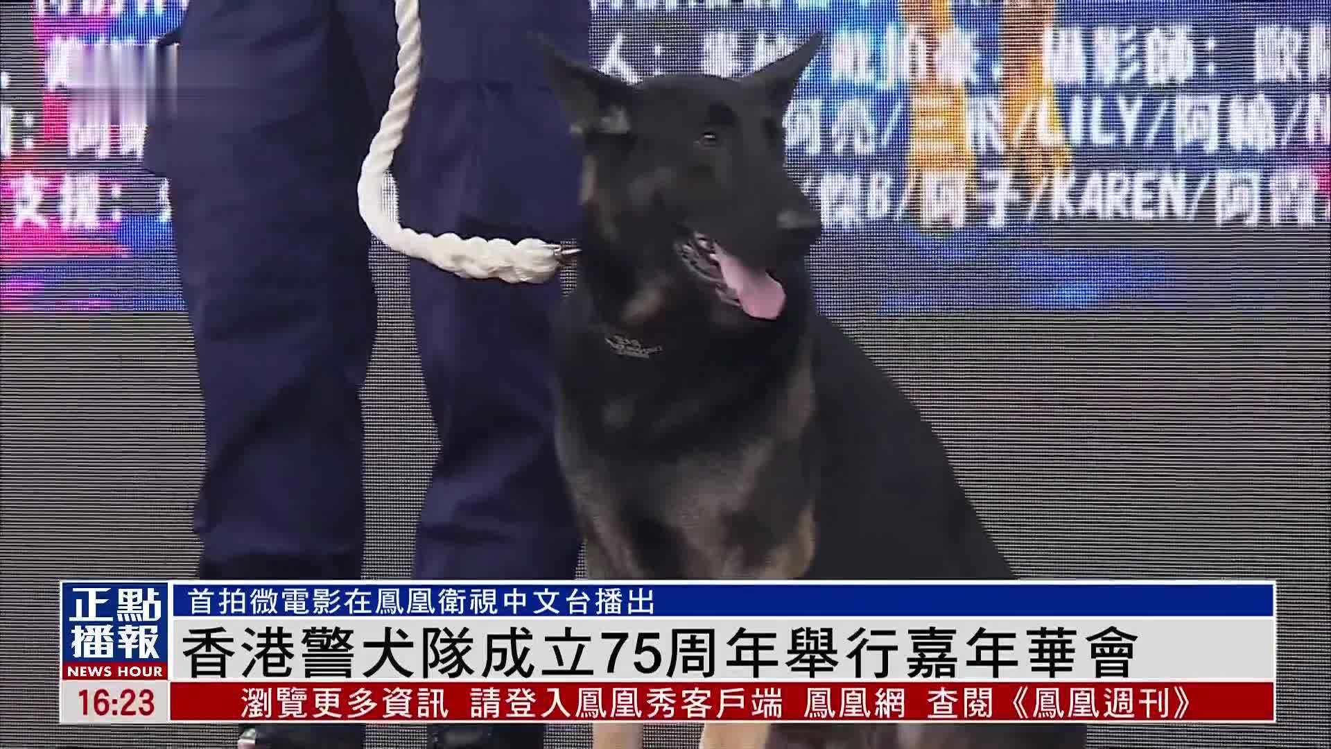 香港警犬队成立75周年举行嘉年华会