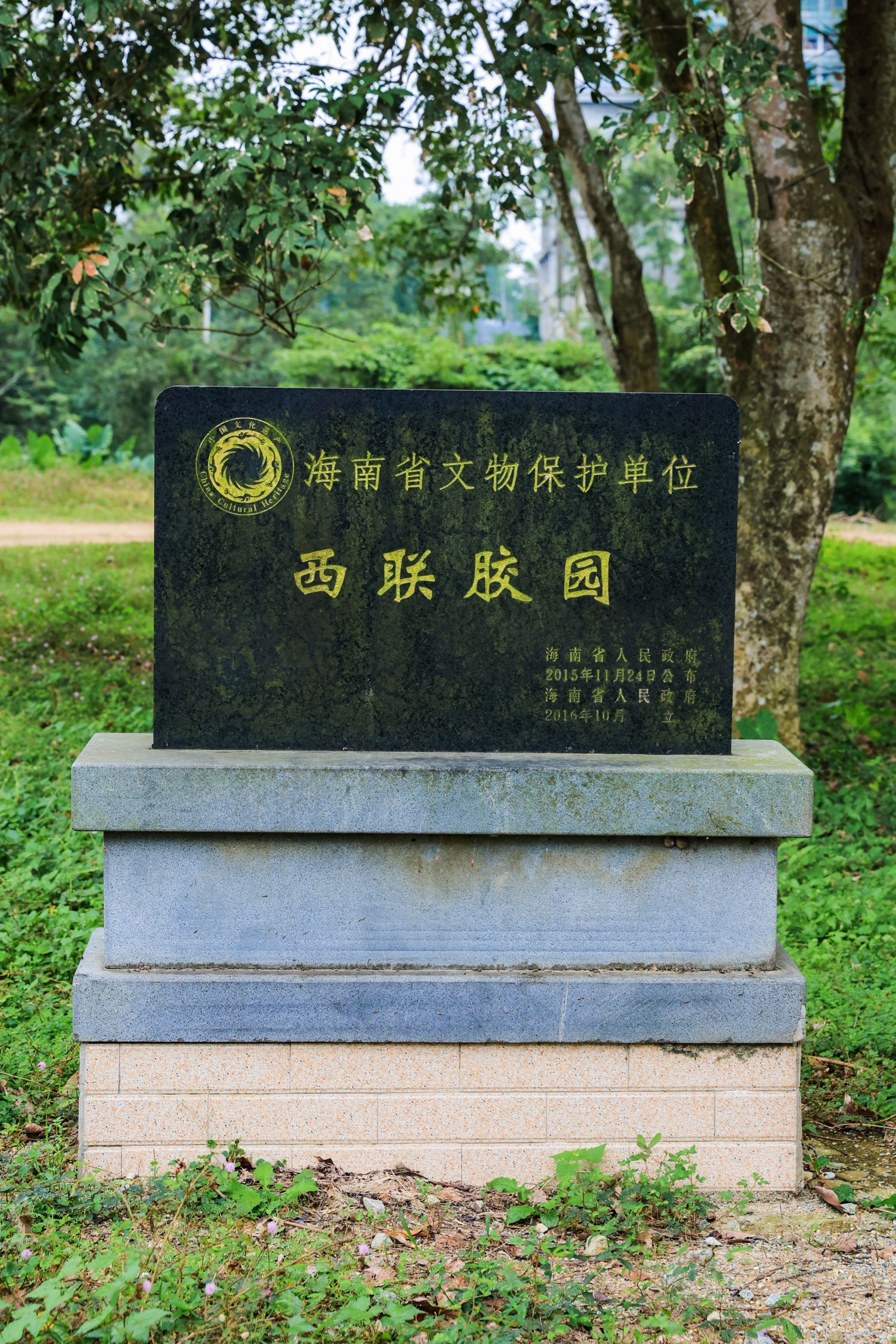 海垦西联百年胶园迎来一批“兼职割胶工”|2024年全国重点网络媒体海垦行