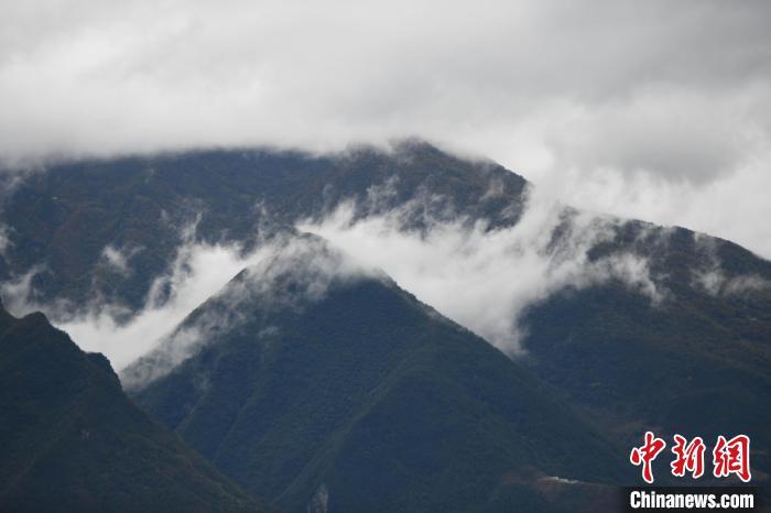 初冬三峡再现“巫山云雨”奇观好似一幅水墨画